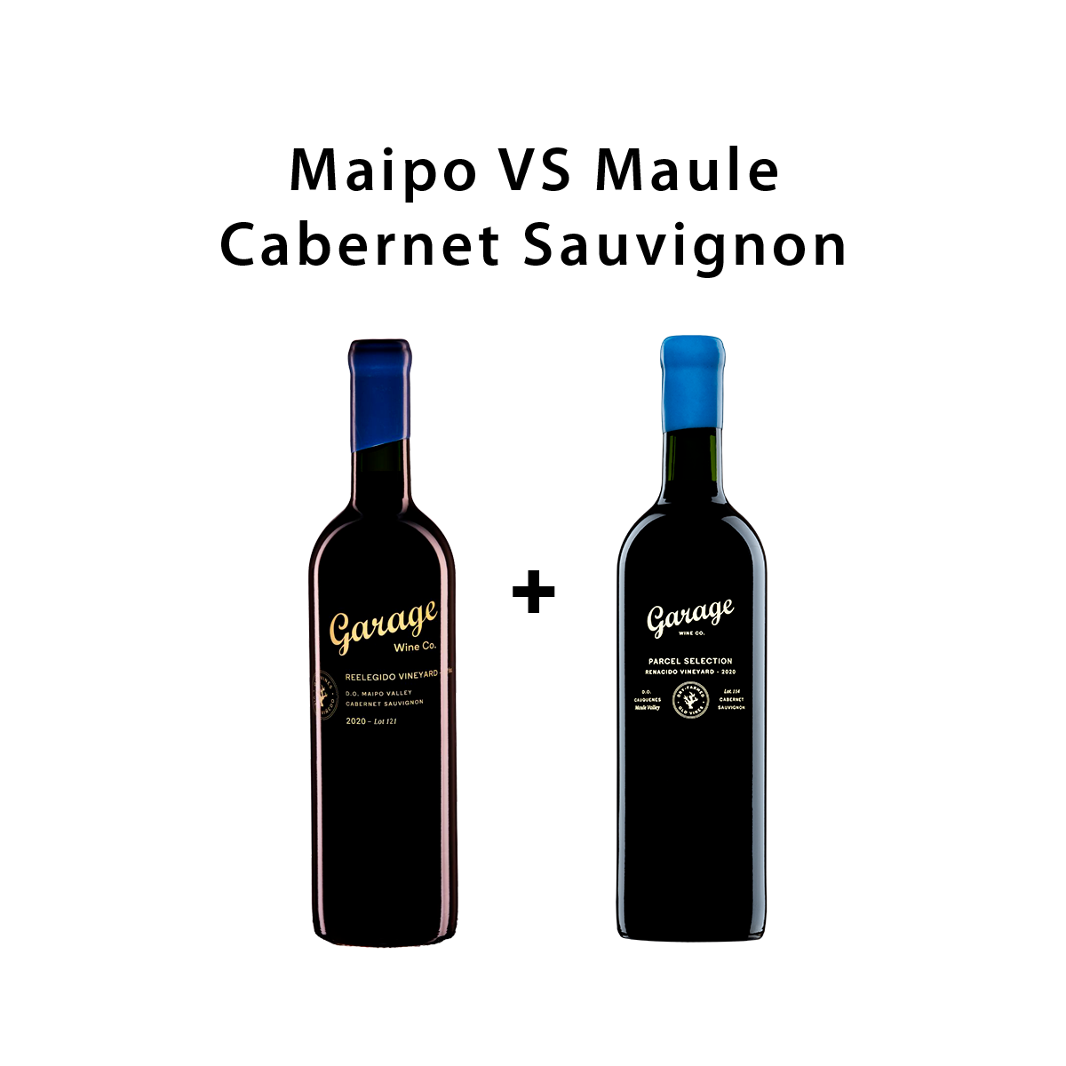 Maipo VS Maule Cabernet Sauvignon